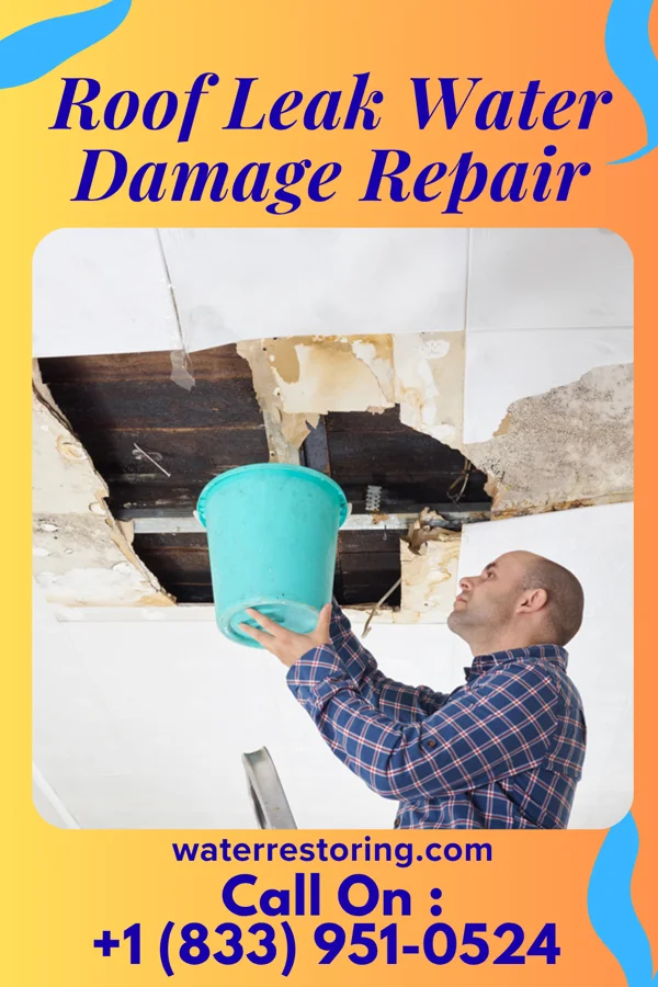 Roof Leak Water Damage Repair in Lakeport, TX